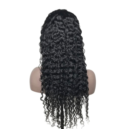 HD 13x6 Waterwave Frontal Wig